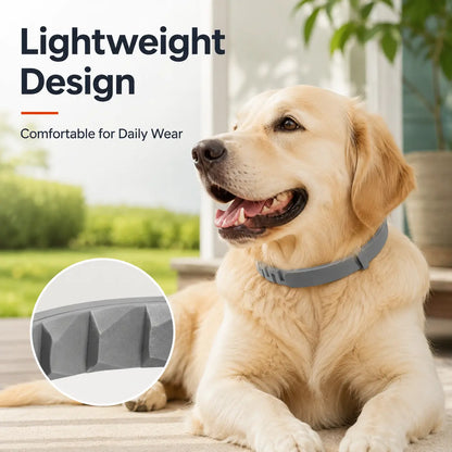 Itch-Free Flea & Tick Shield Collar for Cats & Dogs