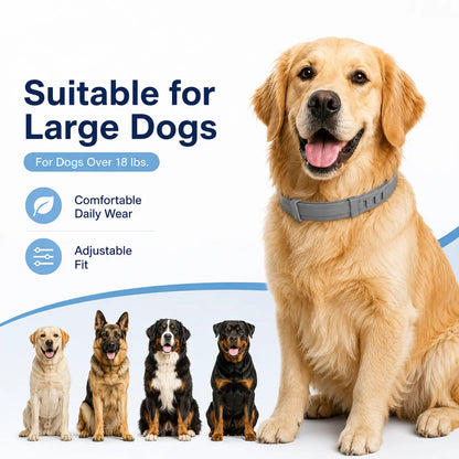 Itch-Free Flea & Tick Shield Collar for Cats & Dogs