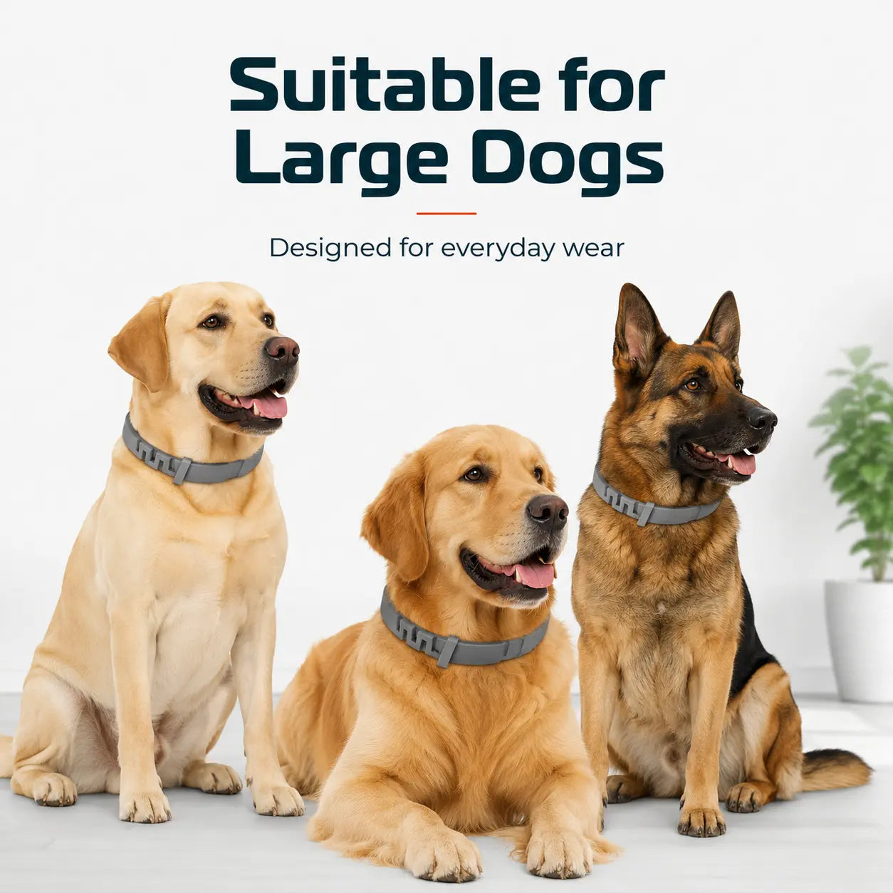 Itch-Free Flea & Tick Shield Collar for Cats & Dogs