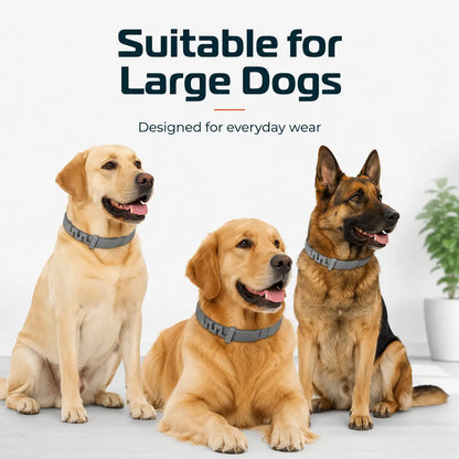 Itch-Free Flea & Tick Shield Collar for Cats & Dogs