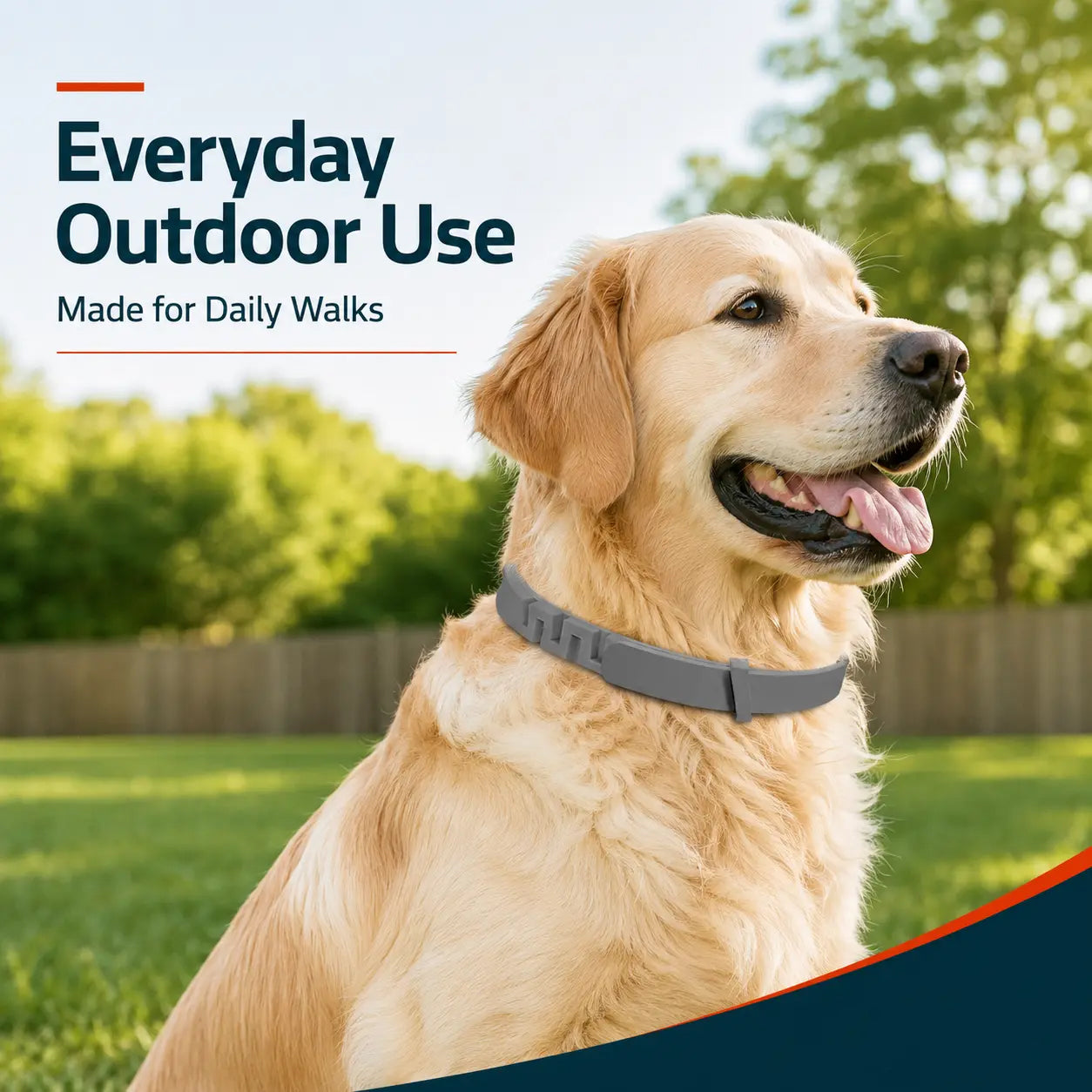 Itch-Free Flea & Tick Shield Collar for Cats & Dogs
