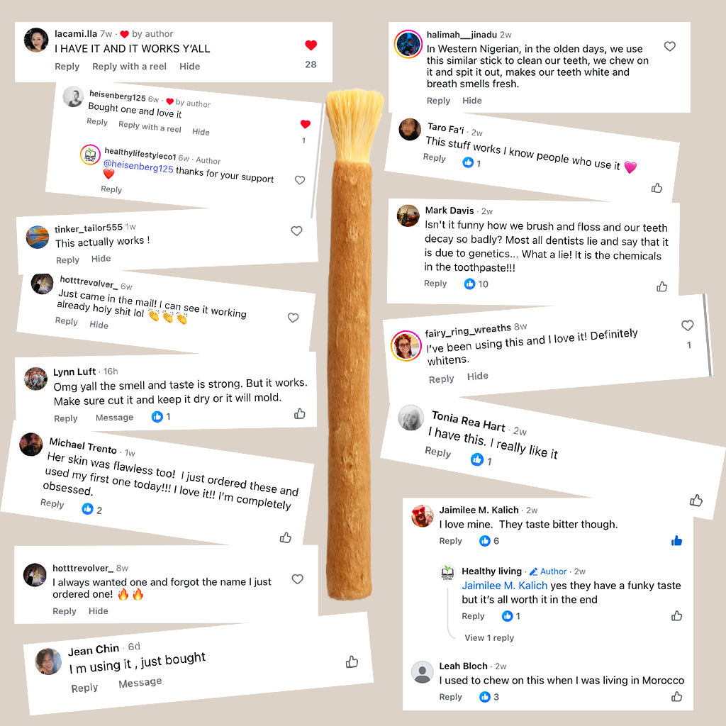 Natural Miswak Toothbrush Sticks