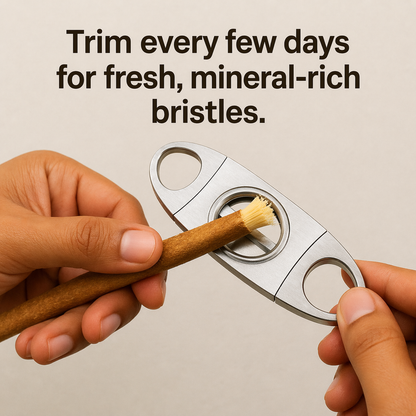 Natural Miswak Toothbrush Sticks