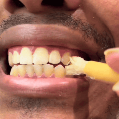 Natural Miswak Toothbrush Sticks